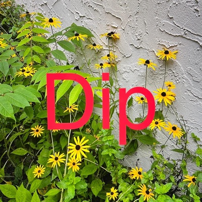 DIP (feat. J. Fisher & Alpaca Fur Rug) - Single