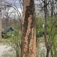 I Ain't Right - Single - Peter Michael