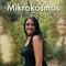 Mikrokosmos (Violin Instrumental) artwork