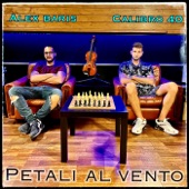 Petali al vento (feat. Calibro 40) artwork
