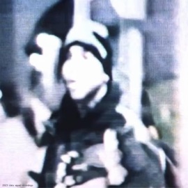 Damn Its Cold! (feat. .Cutspace) Shinigami