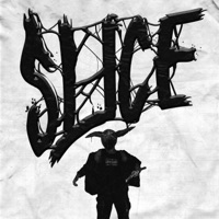 Slice - Single - Blackwill