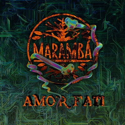 Amor Fati