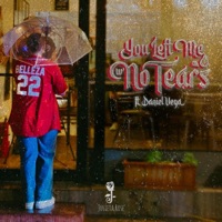 You Left Me With No Tears (feat. Daniel Vega) - Single - Julieta Rose