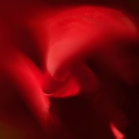 Future Not Now - Single - Sasse