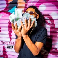 Pimp - Single - Flashy hundo