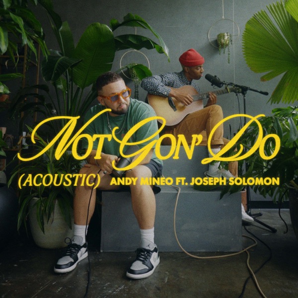 Not Gon' Do (Acoustic) [feat. Joseph Solomon] - Single