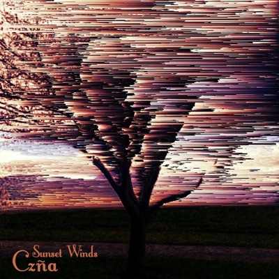 Sunset Winds - Single