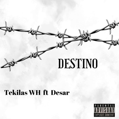 Destino (feat. Desar) - Single