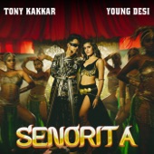 Senorita artwork