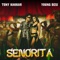 Senorita artwork