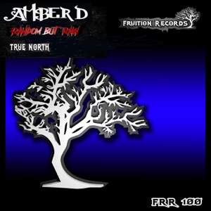True North - Single