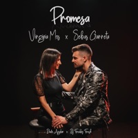 Promesa - Single - Dj Freddy Fresh, Sebas Garreta & Virginia Mos