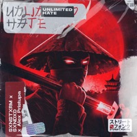 Unlimited Hate - Single - SXNSTXRM, SXNDXD & Alex Pristupa
