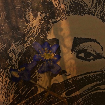 укутав в шарф куски лица или всё - Single