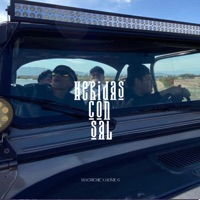Heridas Con Sal - Single - Home G & Mac Richie
