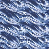 Wavy & Navy - Single - A.I.M