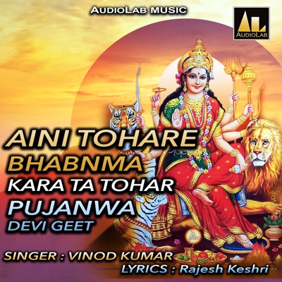 AINI TOHARE BHABNMA KARA TA TOHAR PUJANWA DEVI GEET