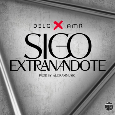 Sigo Extrañandote (feat. AMR) - Single