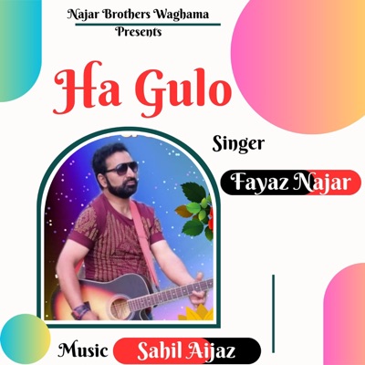 HA GULO (feat. FAYAZ NAJAR) - Single