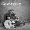 Zwischenbilanz - Uwe Geisler