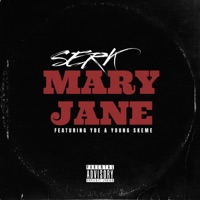 SERK (Mary Jane) (feat. YBE & YOUNG SKEME) - Single - SERK