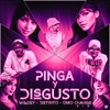 Pinga y Disgusto - Single