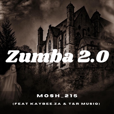 Zumba 2.0 (feat. Kaybee.ZA & T&R musiq) - Single