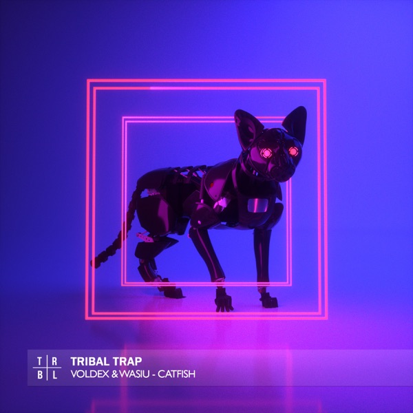 Catfish - Single