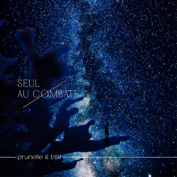 Seul au combat
