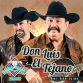 Don Luis El Tejano (feat. Bobby Pulido) artwork