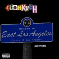 90022 - Single - Geohkush