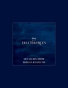 Posłuchaj wykonawcy Morgan Knaplund, obejrzyj teledyski, przeczytaj biografię, zobacz daty tras koncertowych i nie tylko!