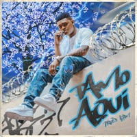 Tamo aquí - Single - Yankee 017