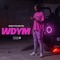 WDYM - SwitchOTR lyrics