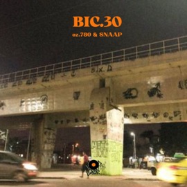 Bic.30 oz.780 & Snaap