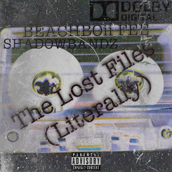 The Lost Files (Literally)