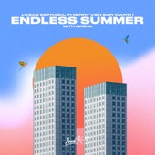Endless Summer artwork