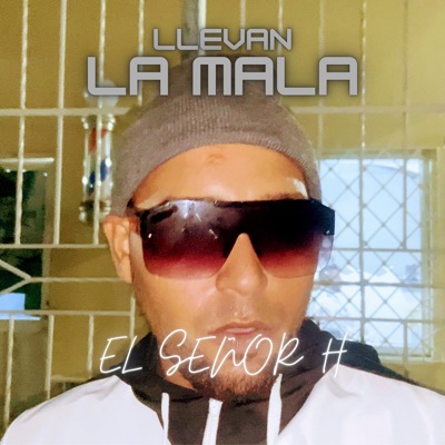 Llevan la Mala - Single