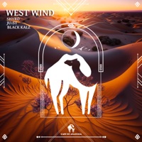 West Wind - Single - Shyro, Just & Cafe De Anatolia