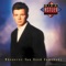 Never Gonna Give You Up - Rick Astley lyrics