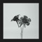 Nyakinyua Rise - Jlin lyrics