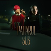 Paharul sus artwork