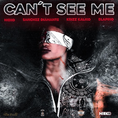 Can't See Me (feat. Krizz Kaliko & Blapino) - Single