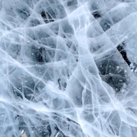 FOREVER COLD (feat. AKVRI) - Single - Lil Trizi