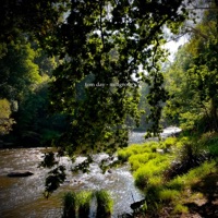 Millgrove - Single - Tom Day
