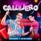 Perro Callejero - Jhon Mindiola & Ana del Castillo lyrics