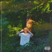 Lavender (feat. Nicobé) - Single - Kasey Andre