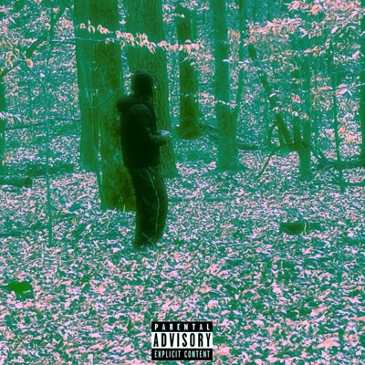 Fairytale Land - Single