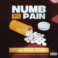 NUMB DA PAIN (feat. Yozke) - Single - 1M1ND